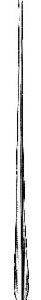 Myrtle Leaf Probe