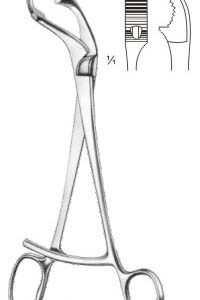 Verbrugge Bone Holding Forcep