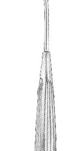 Andrew-Pynchon Suction Tube