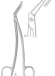 Taylor Scissor