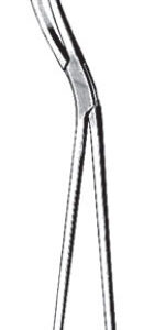 Cheatle Forcep