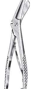 Plaster of Paris Shear